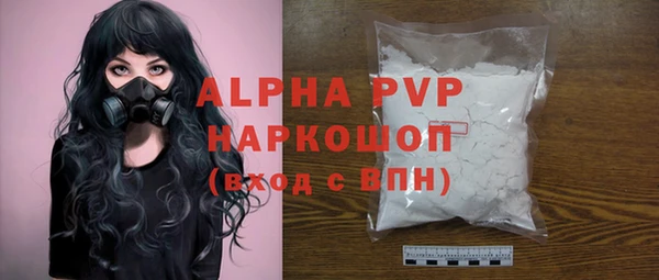дживик Вязьма